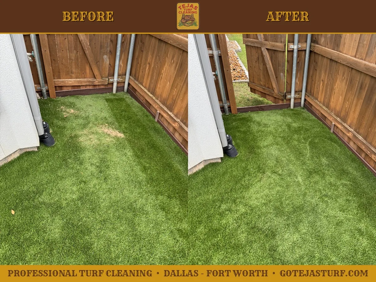 Before and after pet-odor and urine treatment on artificial turf in a Dallas-Fort Worth backyard corner near the gate