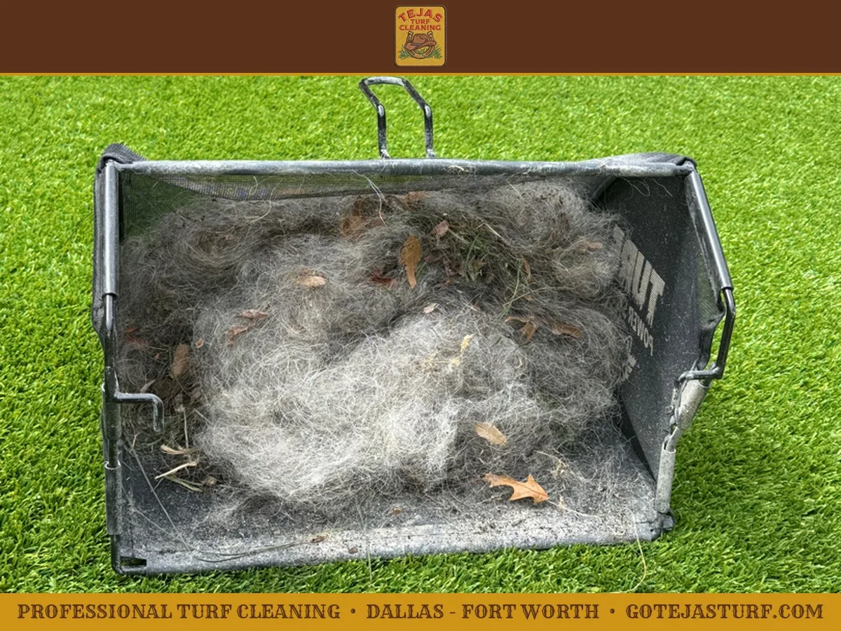 Real debris extracted by the Tejas Turf Cleaning team during a deep-cleaning visit in Dallas-Fort Worth
