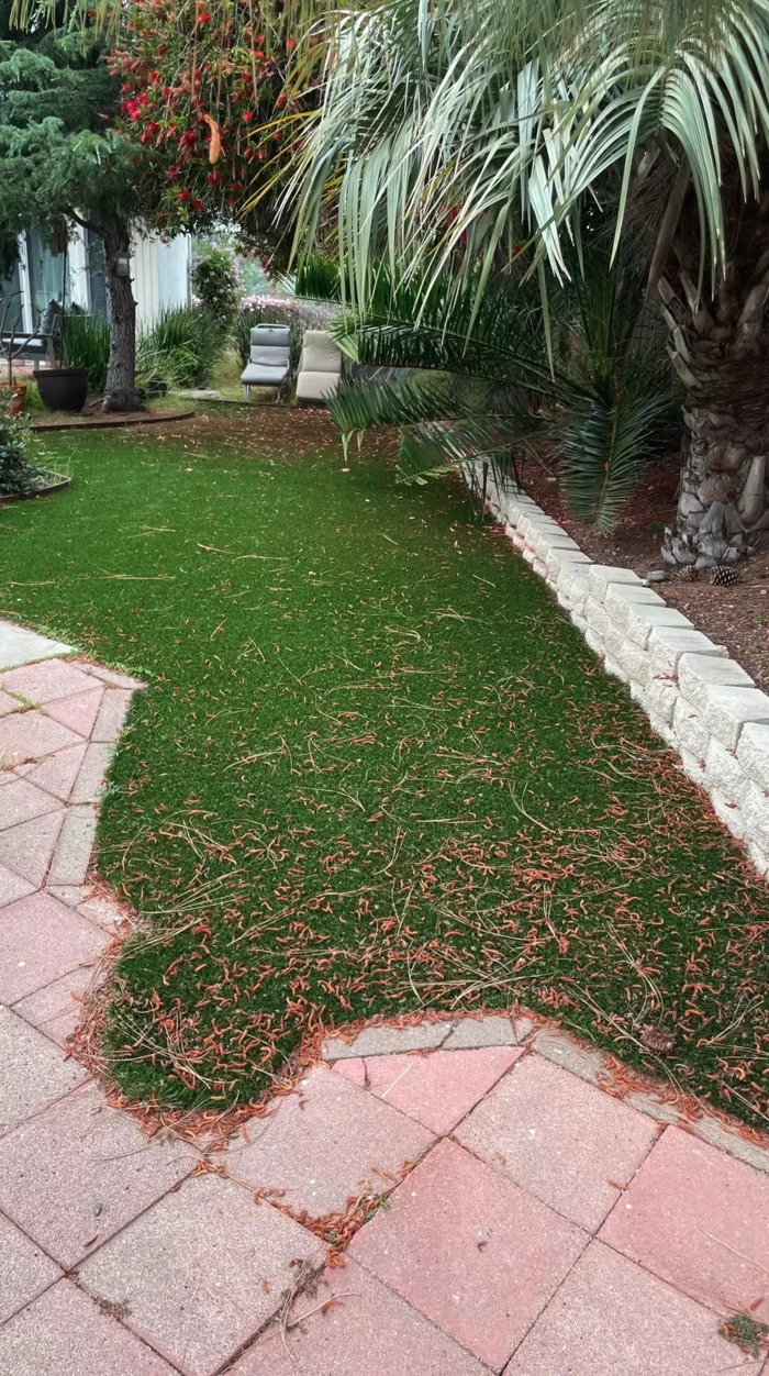Artificial turf cleaning before and after — before