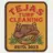 Tejas Turf Cleaning Logo